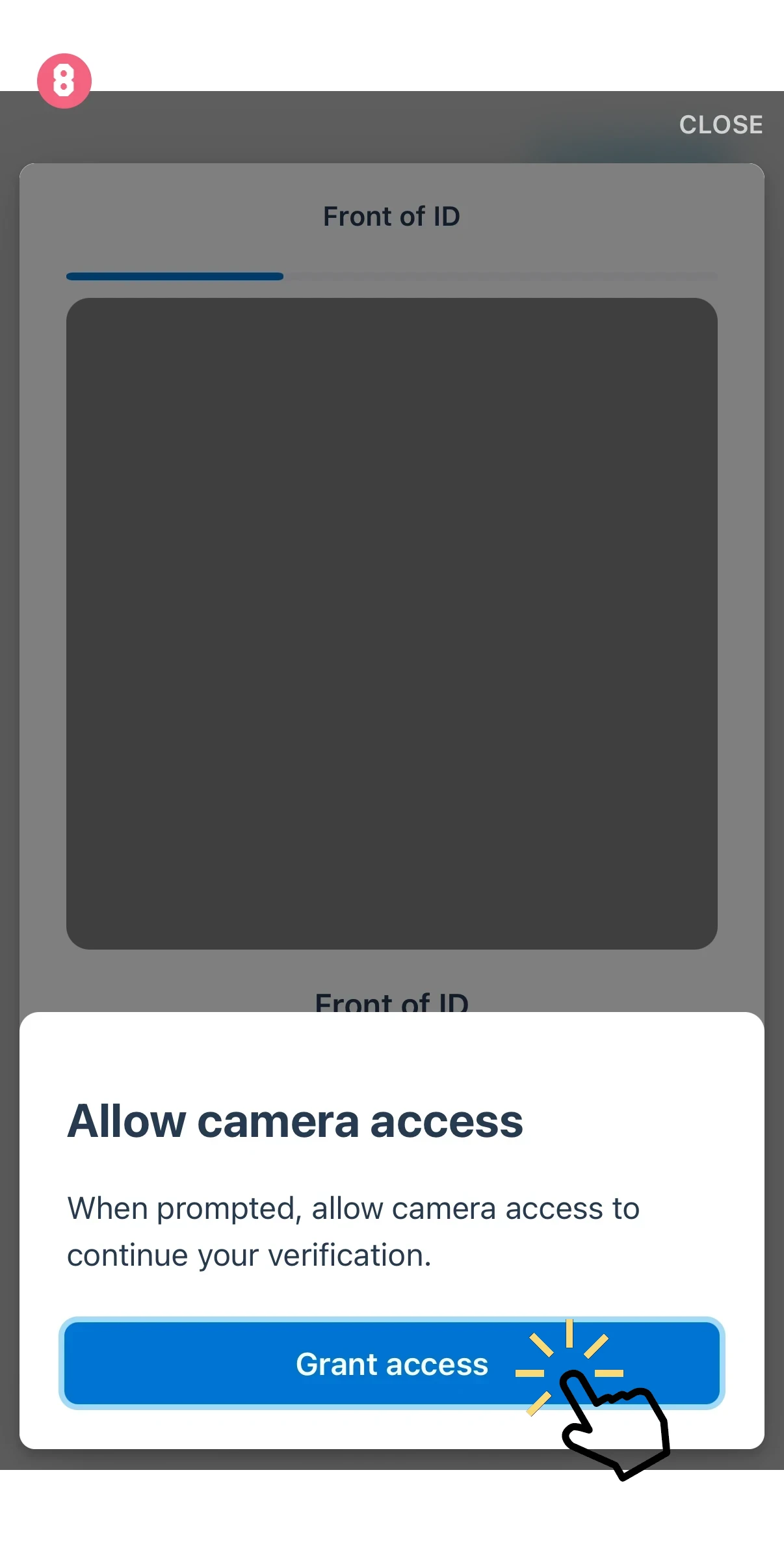 Verification screen with a modal asking to allow camera access; prominent 'Grant access' button on a blue bar.